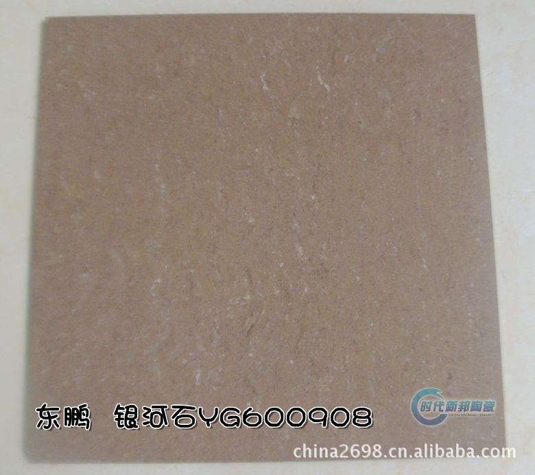 东鹏陶瓷瓷砖玻化砖银河石yg600908一级品600600mm
