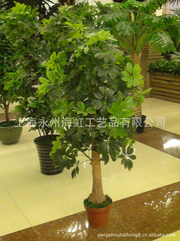 上海海虹提供仿真植物 仿真树 仿真鸭脚木盆栽图片_1