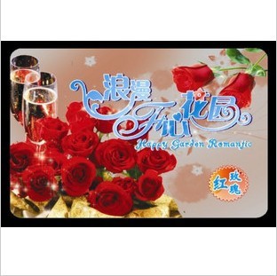 【浪漫开心花园盆栽观赏鲜花 厂家直销 紫玫瑰