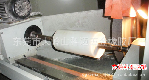 东莞市大岭山镇第四工业区杨朗路416号 东莞市