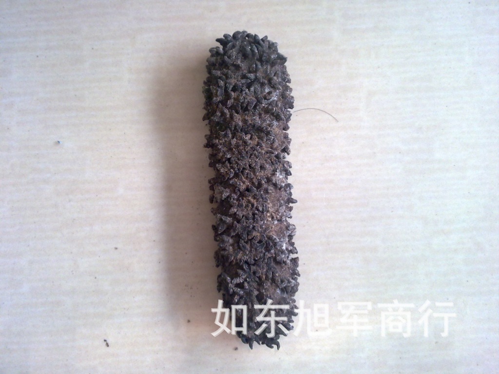 【广东优质天然梅花参950元一斤】价格,厂家,