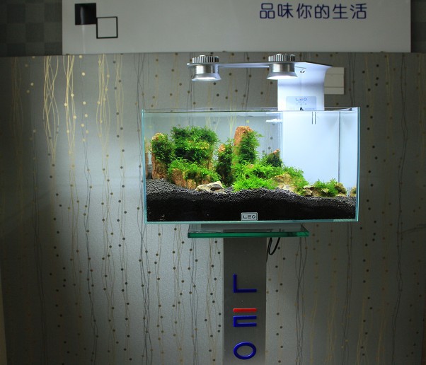 高性价比LEO水族 超白鱼缸 海水缸 莱易欧 小鱼