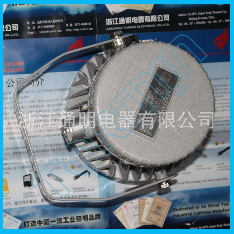 ZY8301LED投光灯反面