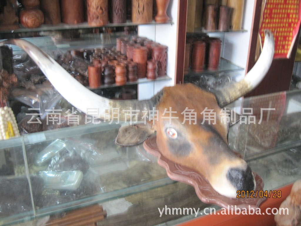 图腾摆件批发 神牛角品牌非洲角牦牛头架 酒店玄关装饰牛角摆件