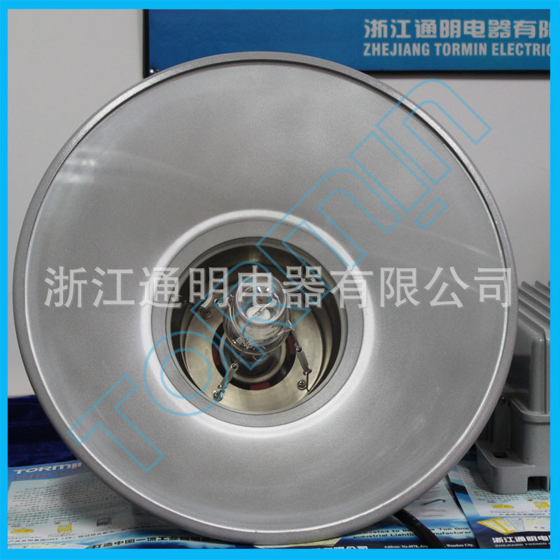 ZY8310防震投光灯1