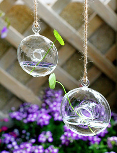 37度  8CM小号圆环玻璃水培  甜甜圈玻璃吊挂装饰 花园园艺