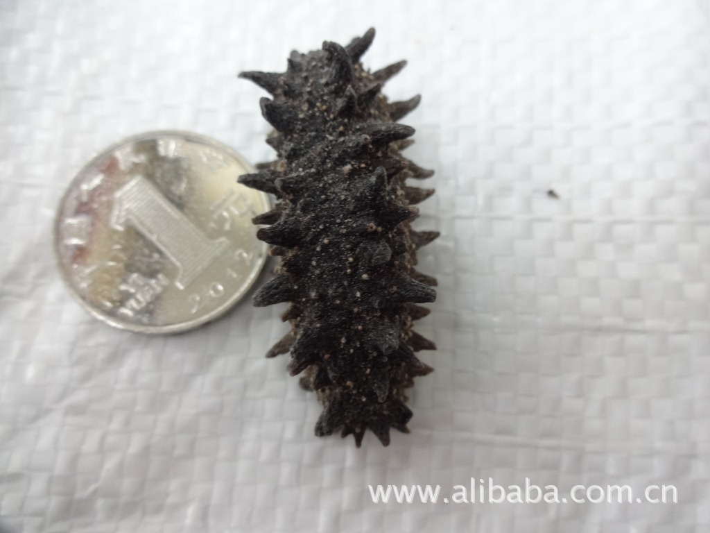 【关东辽参 80头 靓辽参】价格,厂家,图片,干制