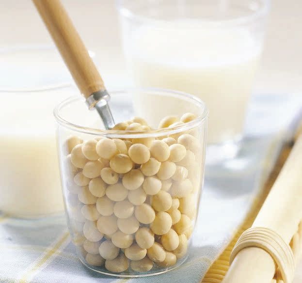 【汉堡店专用豆浆粉 速溶豆浆粉 龙王豆浆粉厂