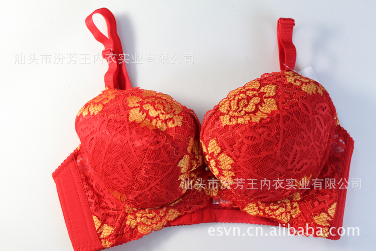 <em>批发</em>采购<em>文胸</em>-<em>内衣</em>5517 双色蕾丝B C杯 大罩杯