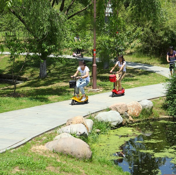 【2013新款小小海豚电动滑板车,迷你型换车2