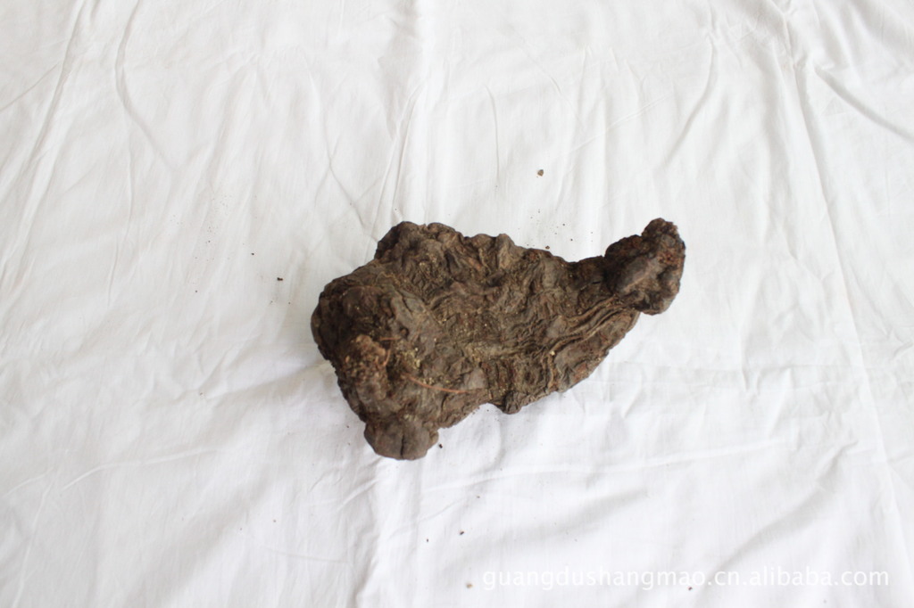 【用于瘰疠疮痈,风疹瘙痒的何首乌】