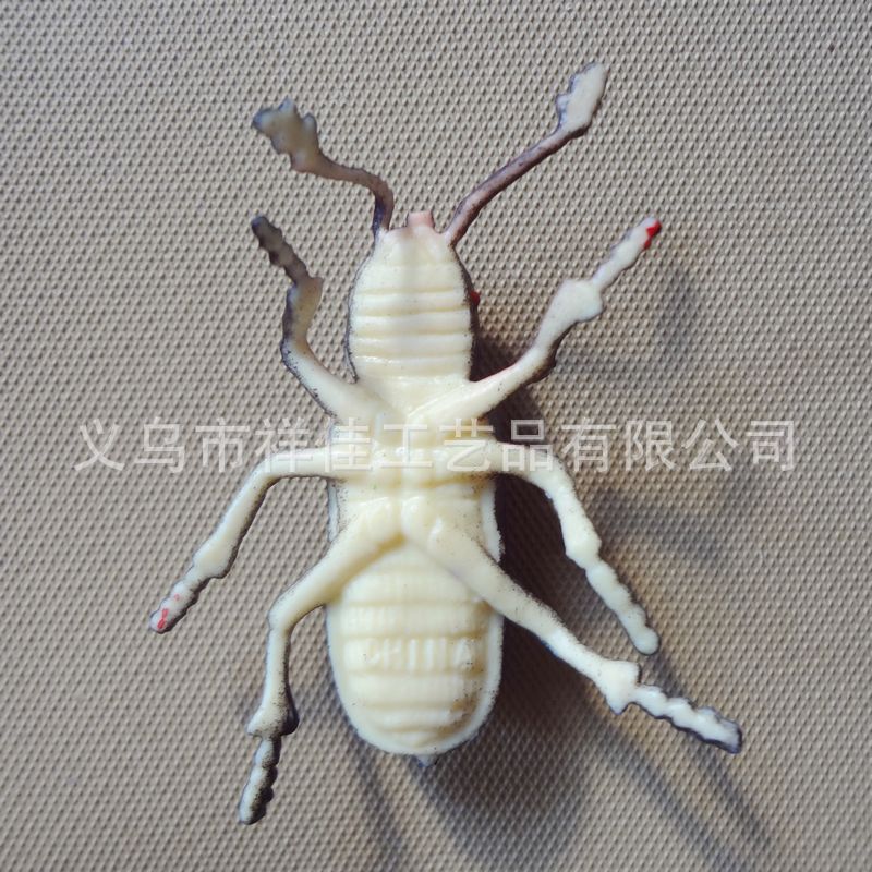 批发蚂蚁\/蜘蛛\/蜈蚣\/蝗虫等仿真昆虫模型 昆虫玩