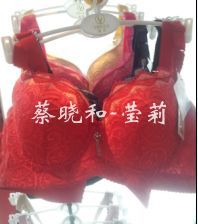 【厂家直销2012秋冬最新款<em>莹莉文胸</em>304#C杯