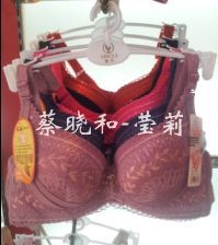 厂家直销2012秋冬最新款B杯型<em>莹莉文胸</em>木瓜子