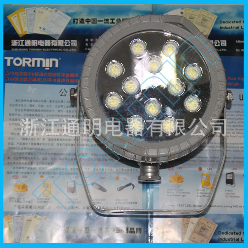 ZY8301LED投光灯正面