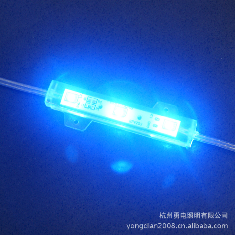 LED装饰灯-欧格二次封装XT-12LED防水模条-