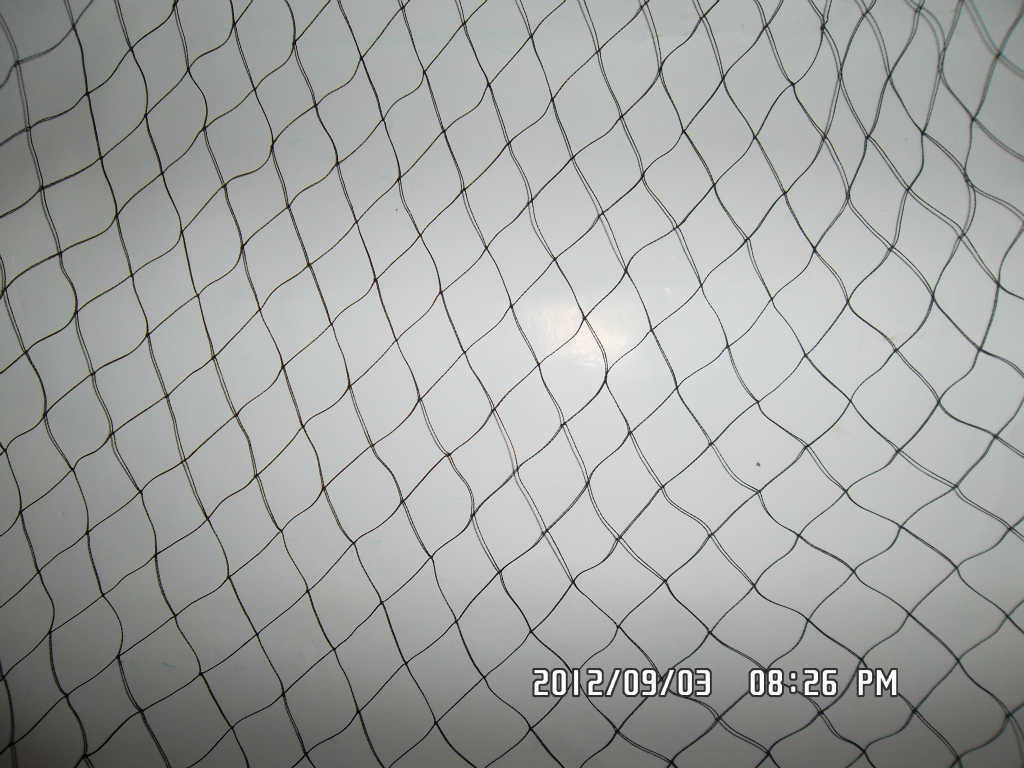 防鸟网 尼龙复丝110\/2D--150\/2D 葡萄网,鸡网,