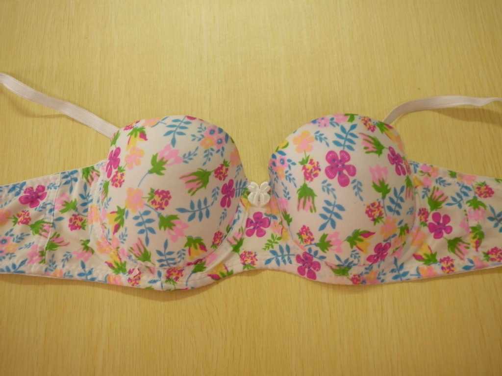 【厂家直销 新款性感<em>文胸</em> 外贸内衣批发 定型胸