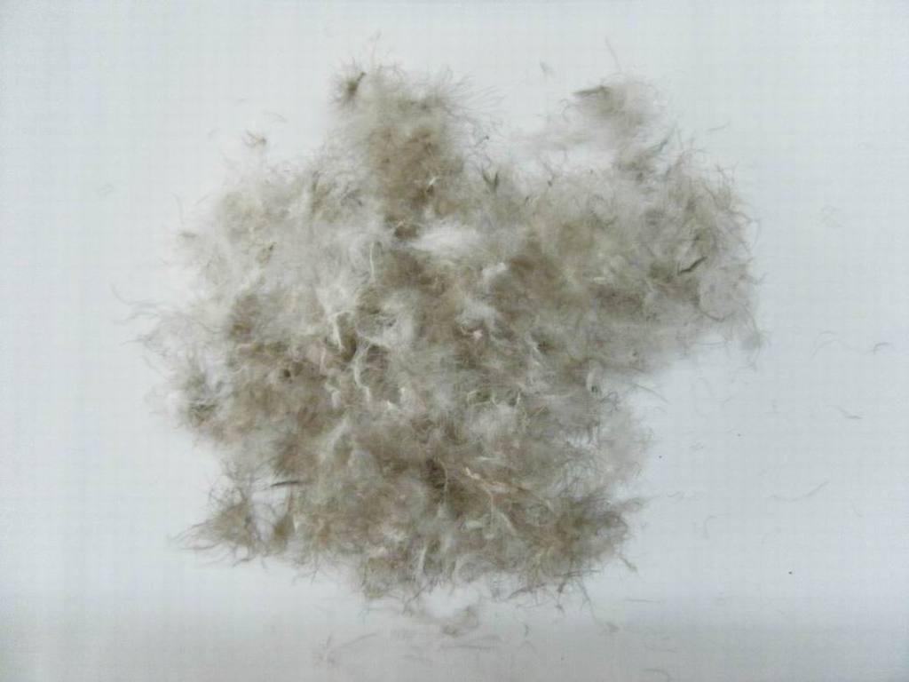 羽绒厂家供应水洗国标80%灰鸭绒羽绒羽毛支持小公斤发货
