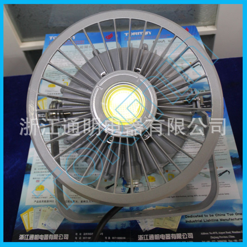 ZY9710大功率LED照明灯