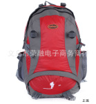 批发35L户外运动背包 徒步包 双肩旅行背包登山包 户外登山包8513