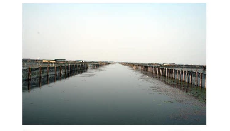 兴化大闸蟹欢迎预定自养直销公蟹母蟹可加盟分售大闸蟹-蟹类价格及生产销售厂家-昆山惠慈物资再生利用有限公司 - 农业品商贸网