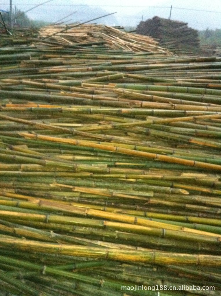 供应各类红竹,淡竹,宝鸡竹,菜架竹,毛竹,竹梢,毛料