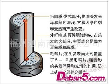 补发块假发 假发头套 工艺品  蕾丝假发 时尚假发 补发 真发批发 补顶