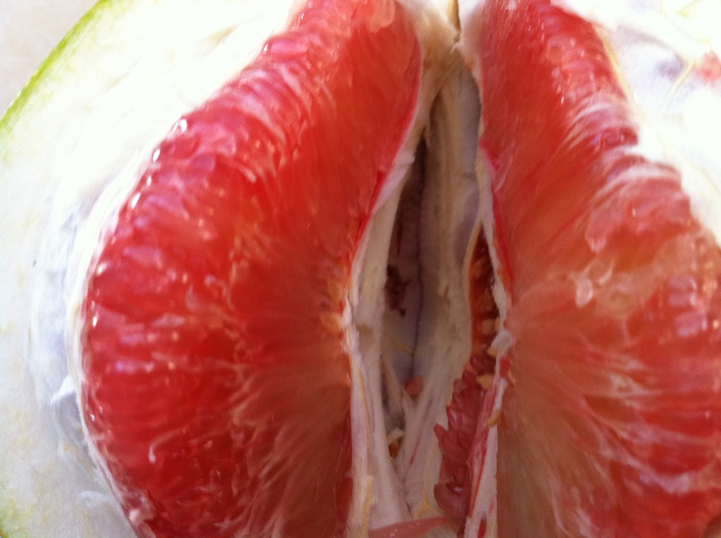 【红心蜜柚 红肉蜜柚 柚子果树苗】价格,厂家,图