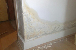 防水、防潮材料-地板潮湿 地面潮湿 墙面潮湿 