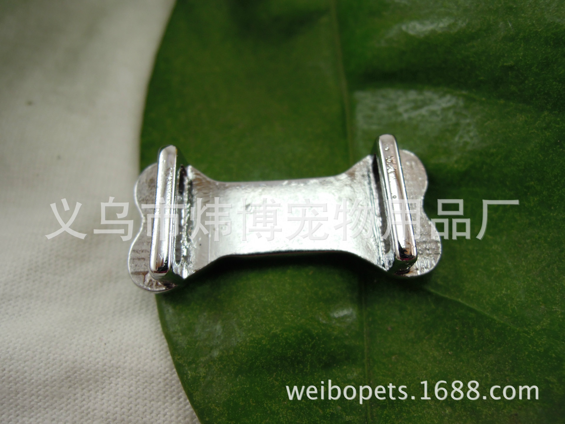 DSCN0289