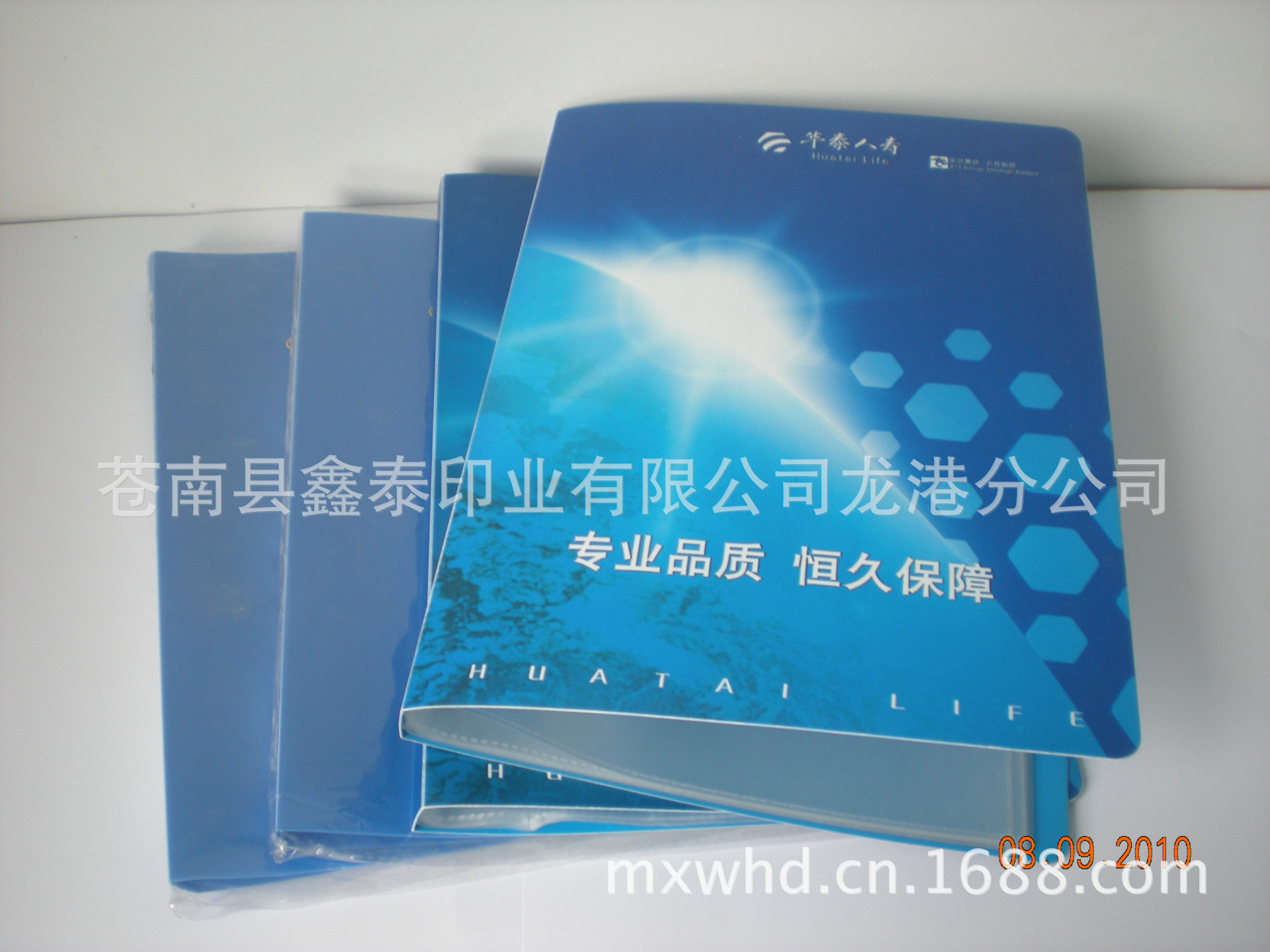 DSCN6341