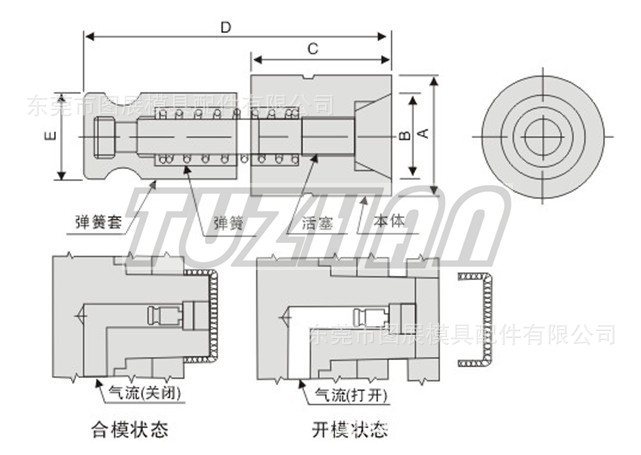 TZ05602