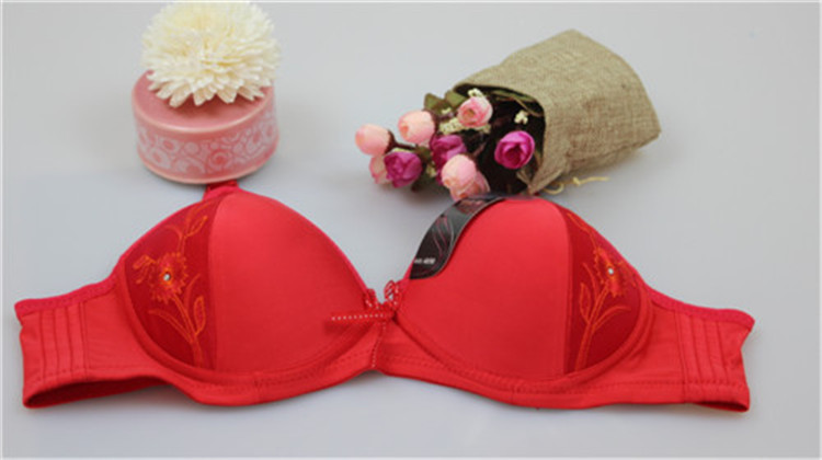 【外贸<em>文胸</em>无钢圈笔款<em>刺绣文胸</em>批发外贸<em>原单</em>厂