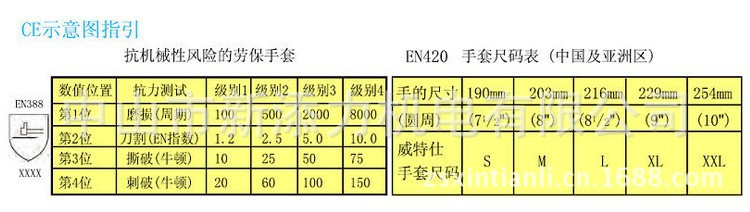 CE示意图指引