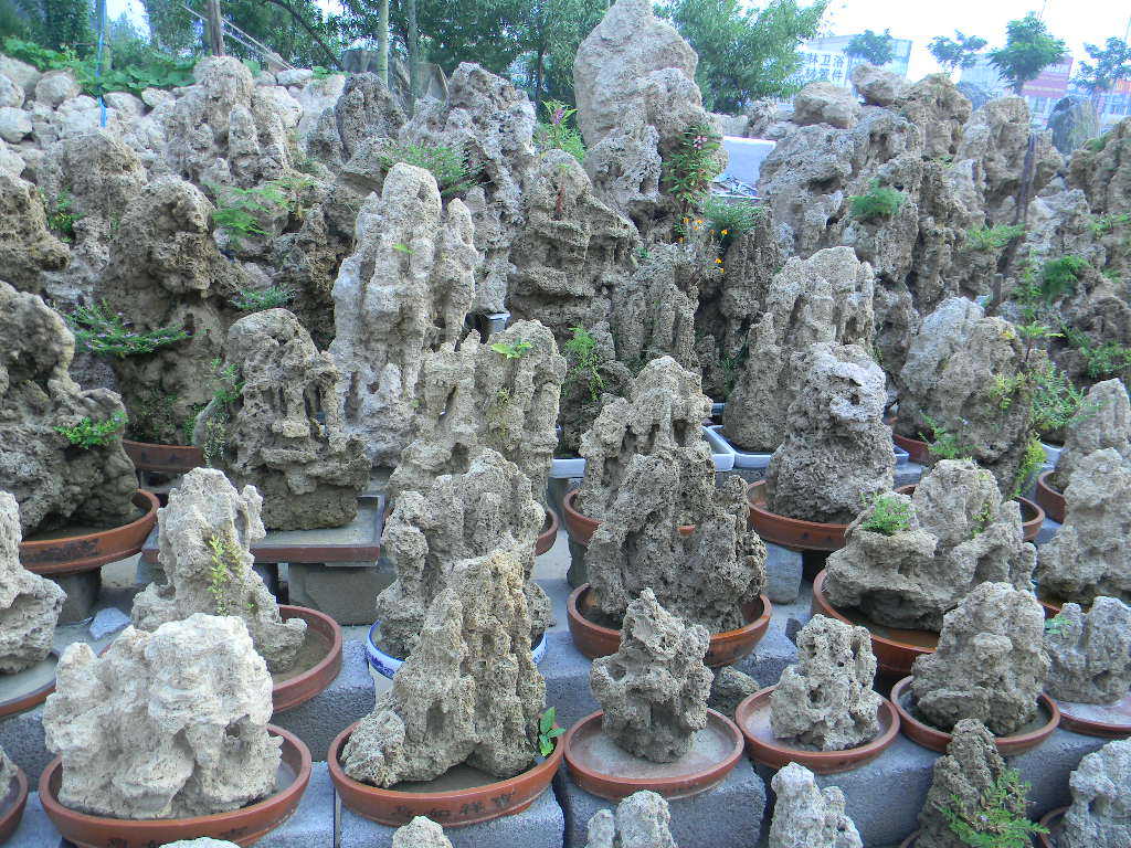 【天然吸水石盆景 假山 上水石 高档盆景 天然加