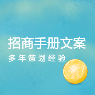 广告策划-招商手册文案\/连锁加盟手册\/精品商业
