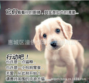 QQ截圖20130913163100