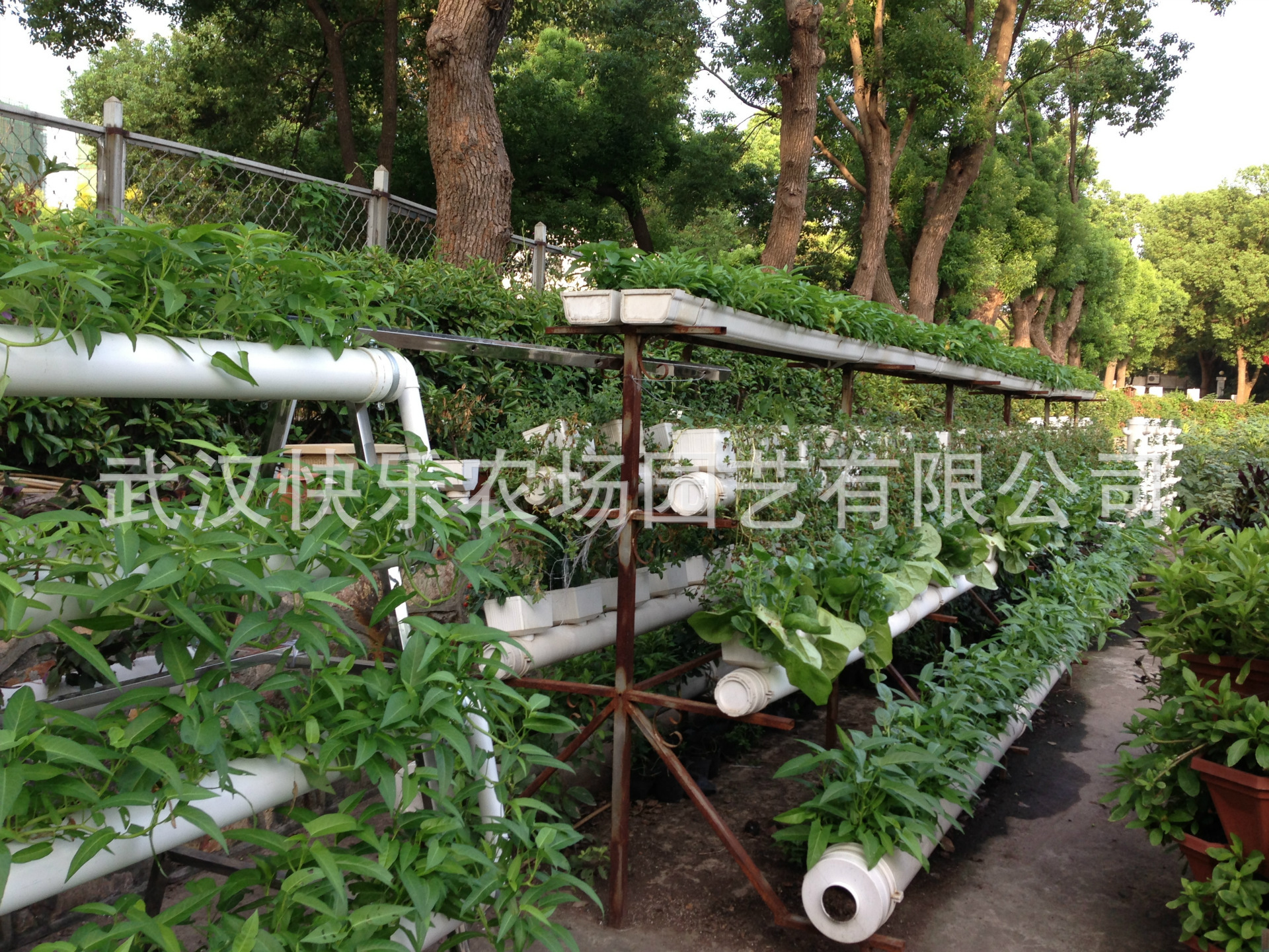 【现代农业 立体设施种植 蔬菜瓜果观光采摘园