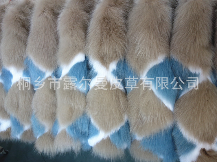 DSC09773_副本