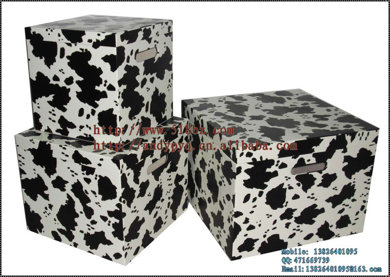 CIMG6055