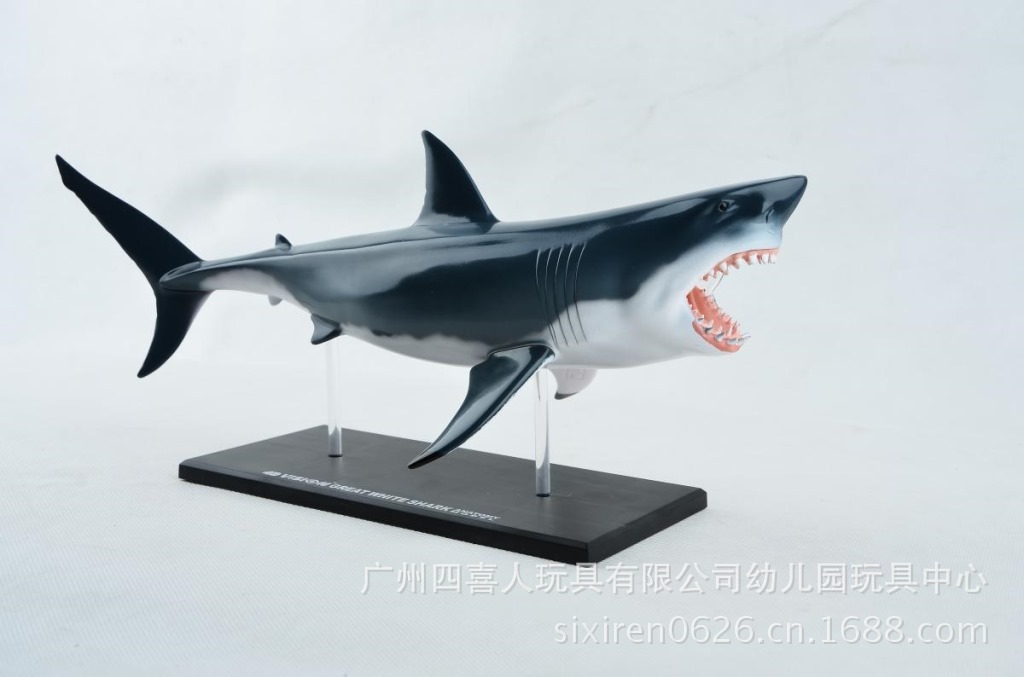 4d master拼装大师鲨鱼解剖模型带器官骨骼高级塑胶制作ha26111