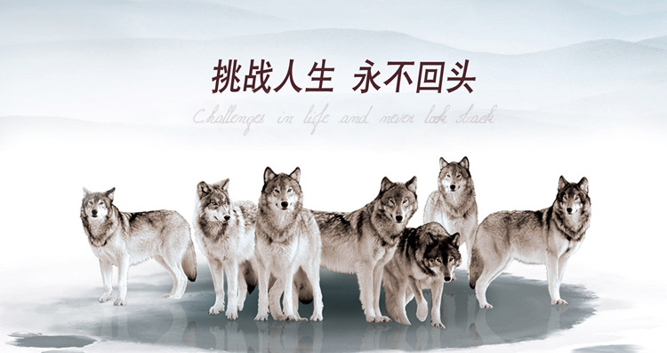宣傳5