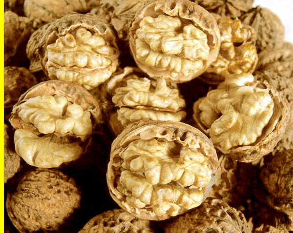 【云南纸皮核桃 皮薄肉厚 核桃 1斤起批】价格