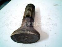 货真价实 发黑鹅蛋丝 常用规格现货 顾客第一