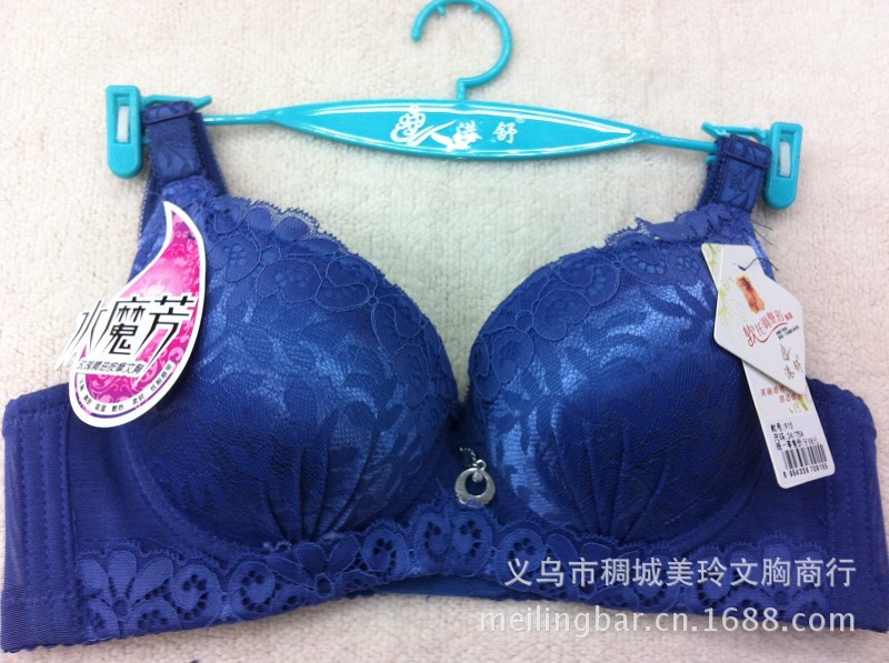 IMG-915 寶蘭