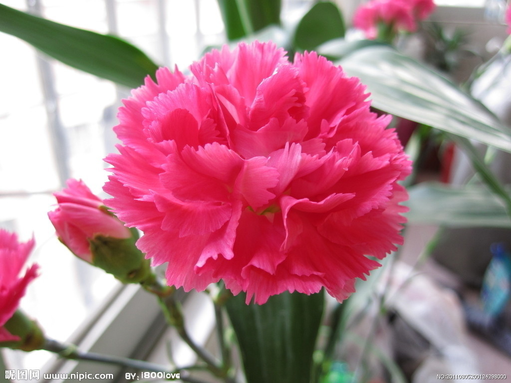 <em>女人30一朵花</em>_我是胎面胶 - 阿里巴巴博客