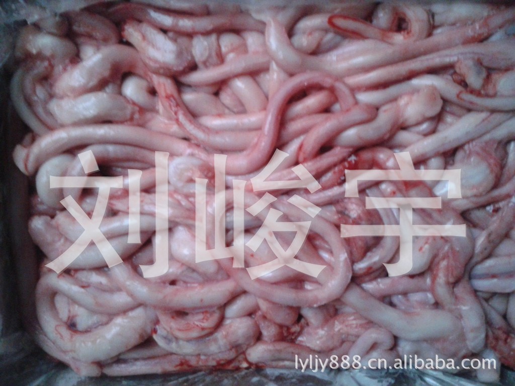 供应猪鞭 红肠 食道管图片,供应猪鞭 红肠 食道