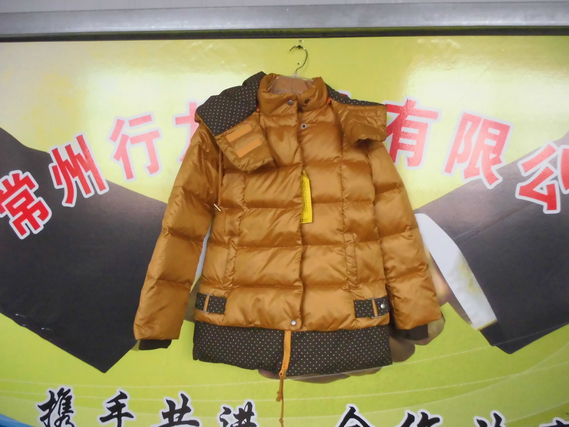 DSCI0078