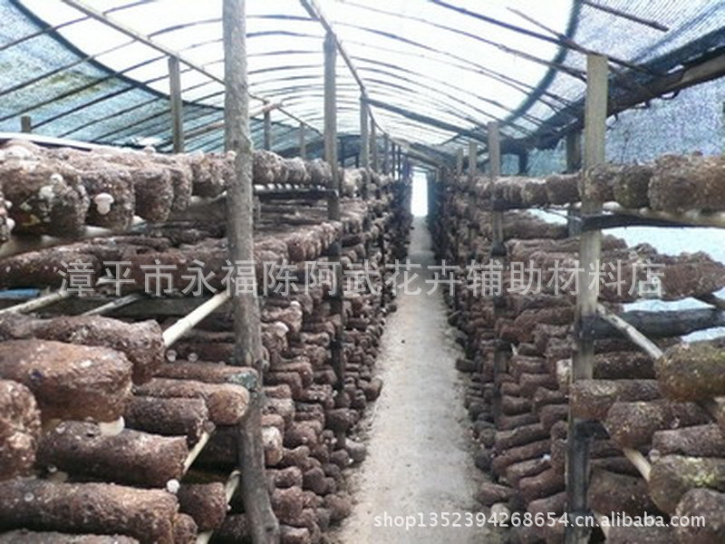 【【喜丰特供】9丝 10丝厚塑料薄膜 大棚膜 农